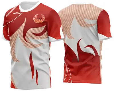 Arte Estampa Camisa Game 2024 - 2025 Modelo 33